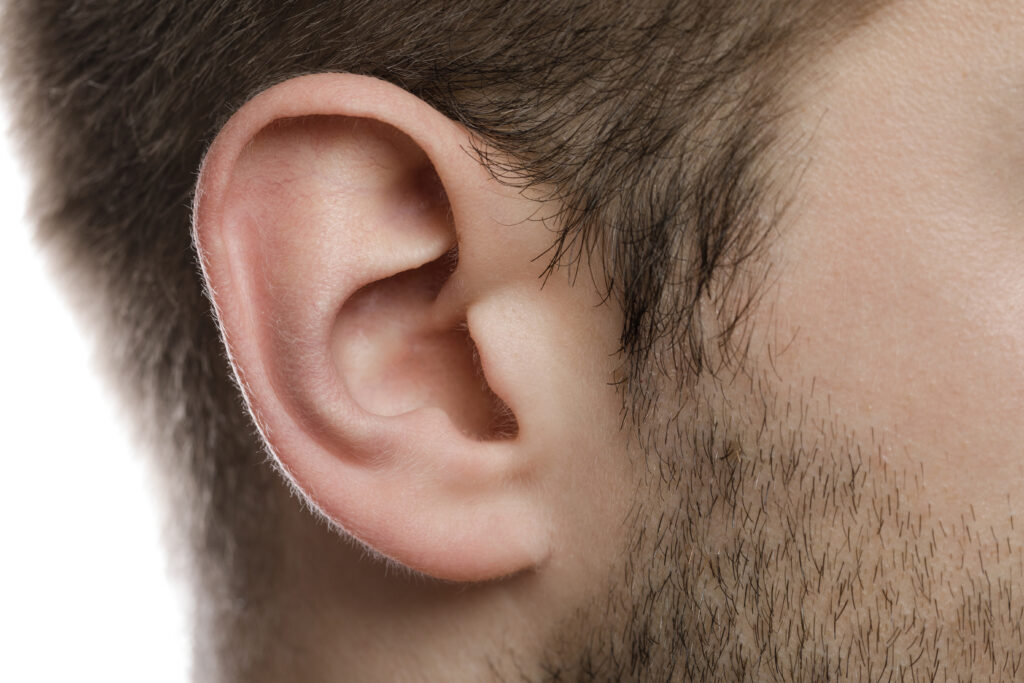 Body parts. Close-up of male ear.