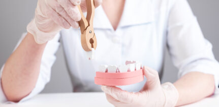 Dentist pulling tooth with forceps out of jaw model. Wisdom teeth extraction or poor oral hygiene, injury consequences. Dental surgeon in lab coat and gloves sitting at table. High quality photo