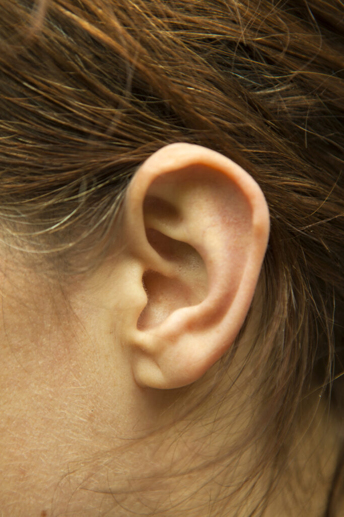 Left ear of woman